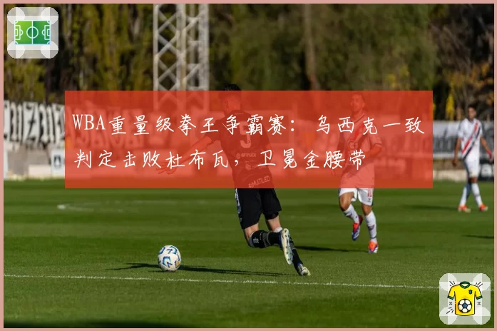 WBA重量级拳王争霸赛：乌西克一致判定击败杜布瓦，卫冕金腰带
