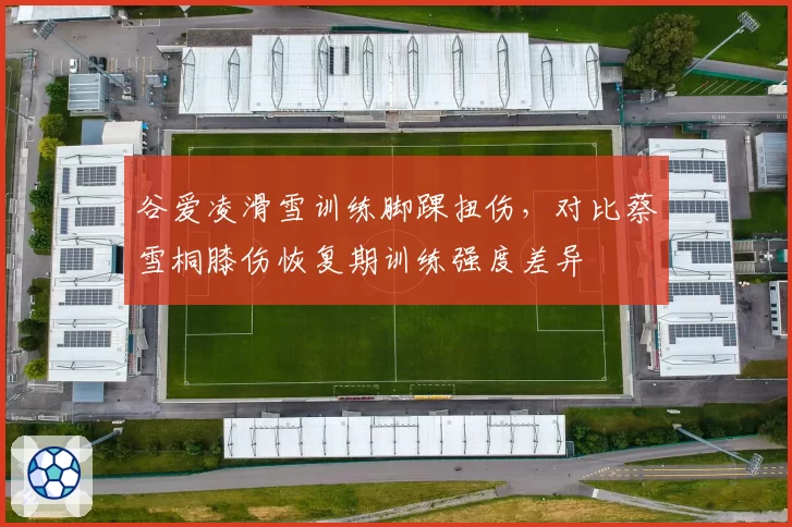 谷爱凌滑雪训练脚踝扭伤，对比蔡雪桐膝伤恢复期训练强度差异