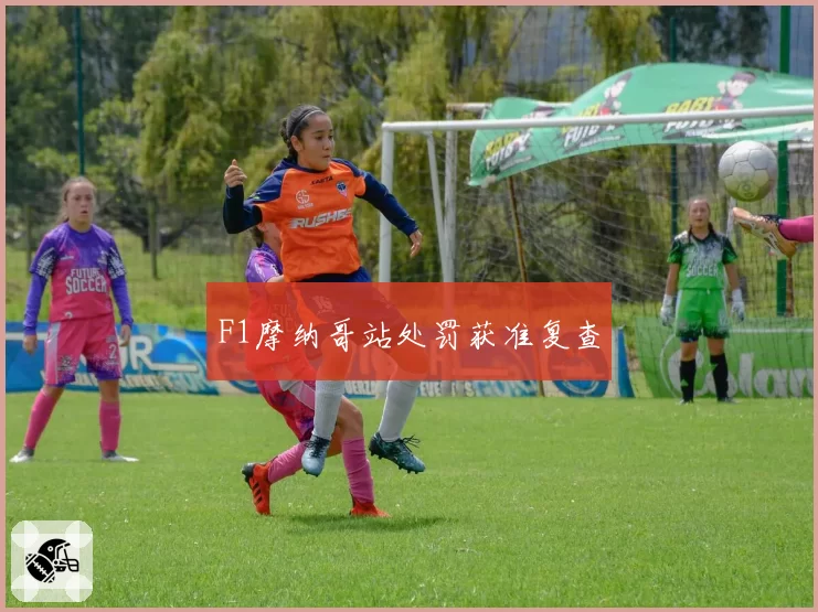 F1摩纳哥站处罚获准复查