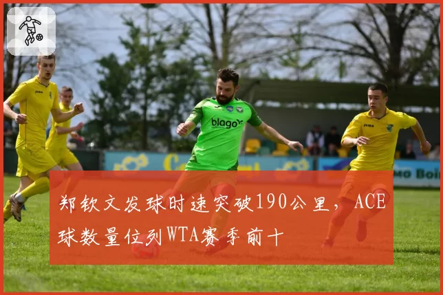 郑钦文发球时速突破190公里，ACE球数量位列WTA赛季前十